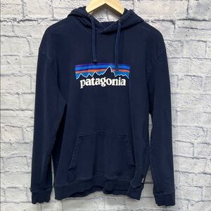 Patagonia Men's Dark Blue Hoodie